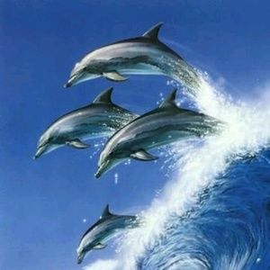 Meet your Posher, Del rae